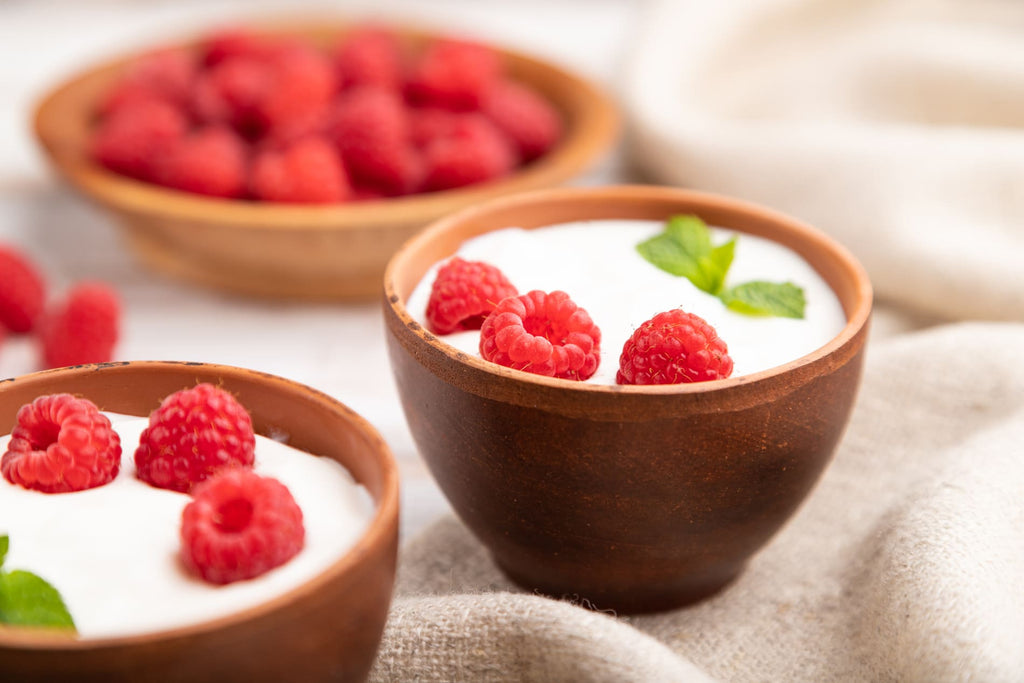 The Ultimate Lactose-Free Milk Powder for Homemade Yogurt Lovers